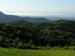 Random Croatian countryside #1