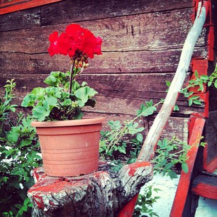 Random Croatian Countryside